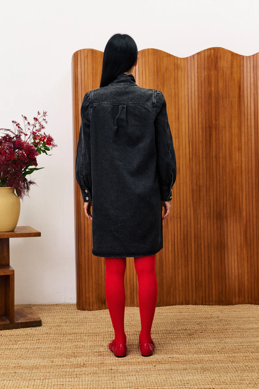 Aubepine Denim Dress