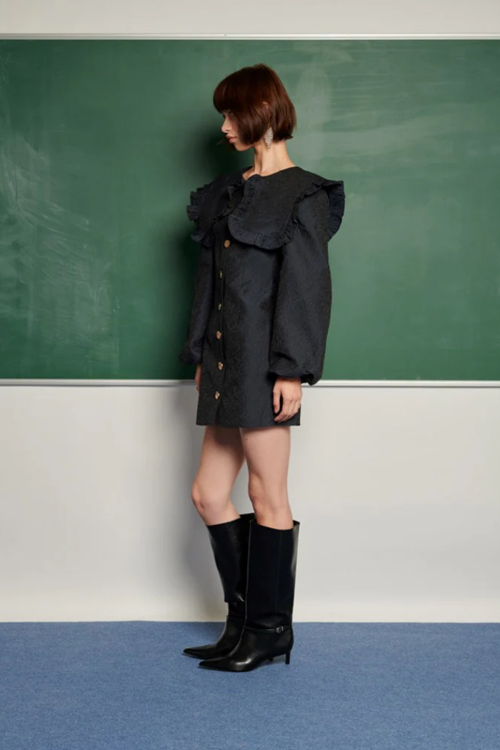 Inola Mini Dress