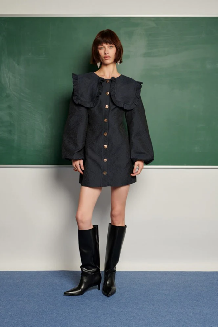 Inola Mini Dress