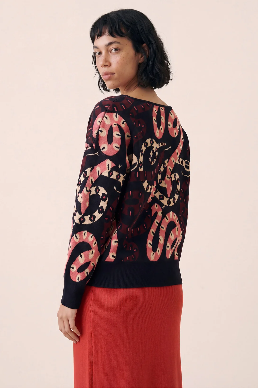 Snakes Pullover Sweater