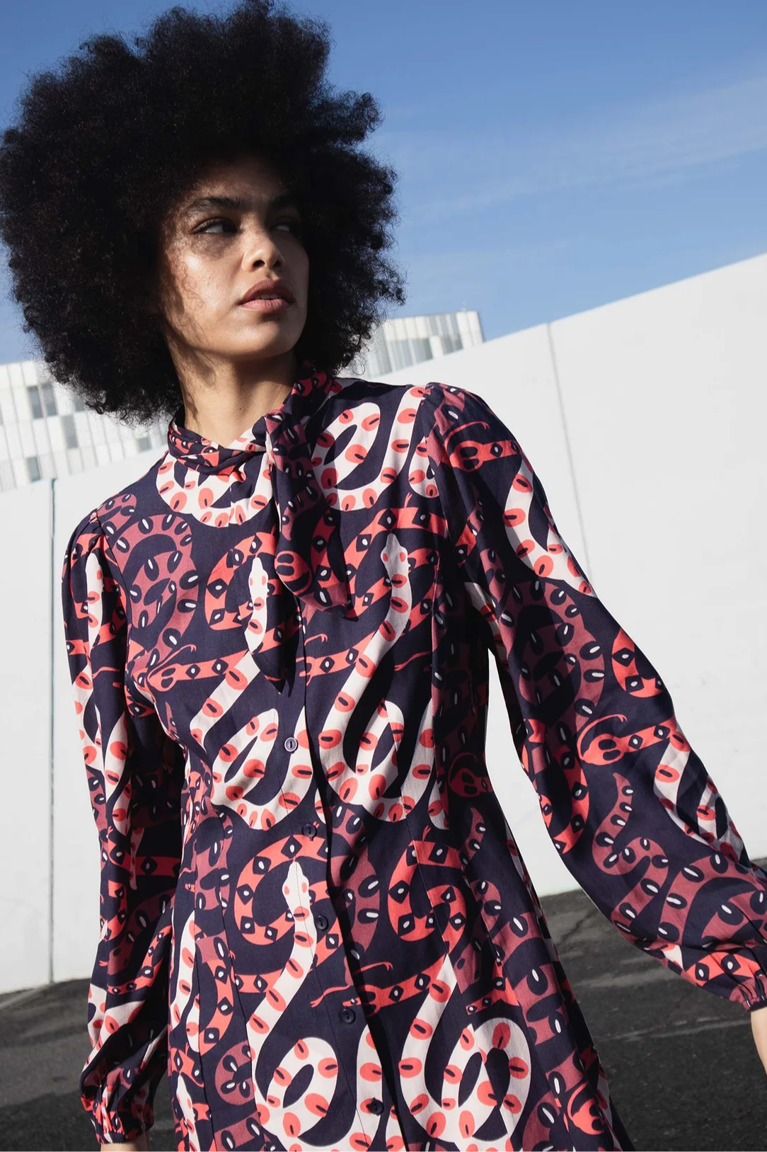 Snakes Dress